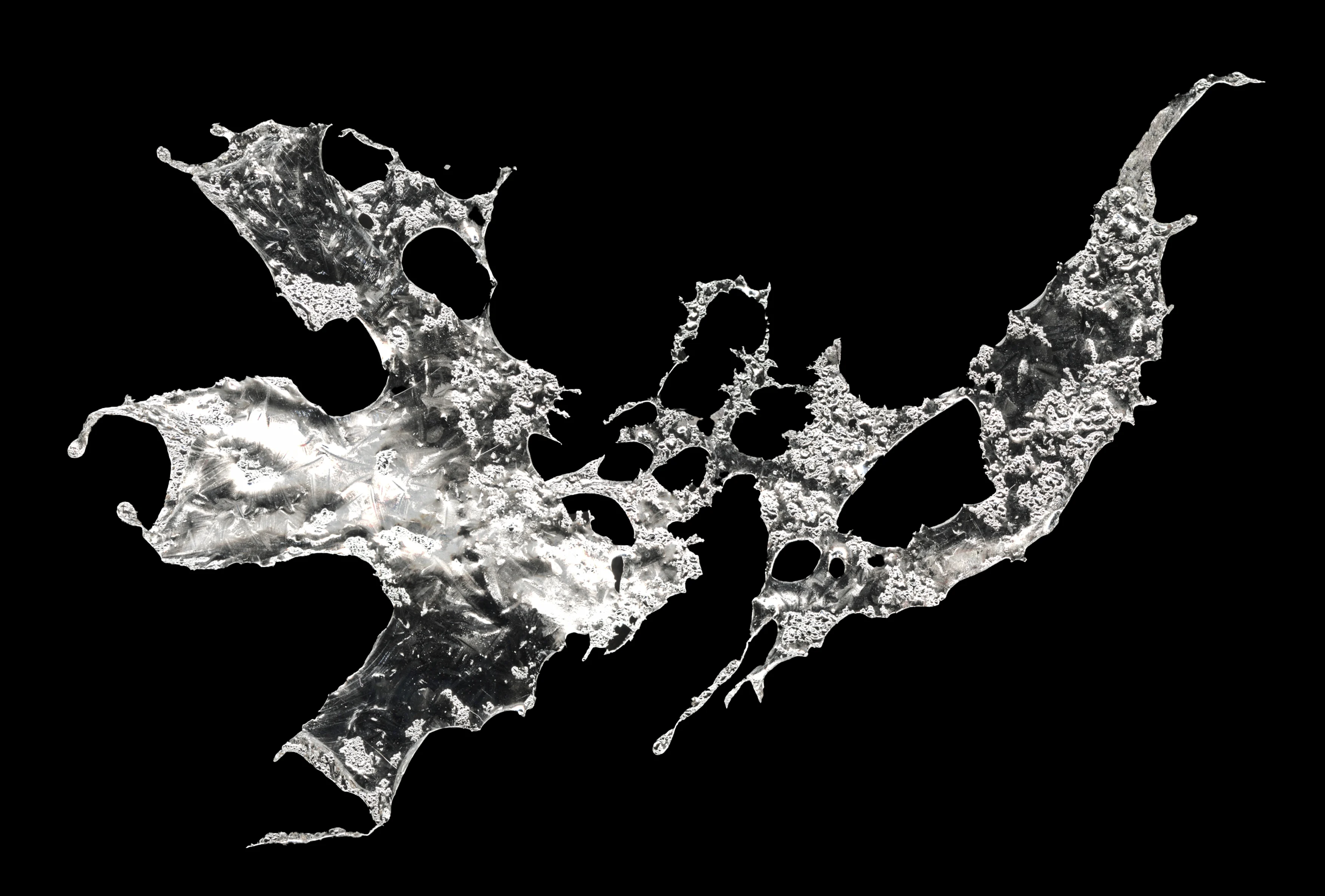 Generative Form